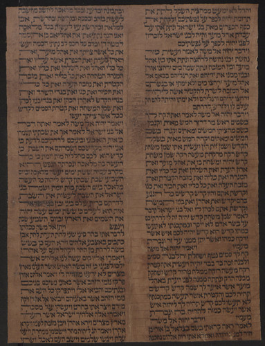 [Fragmento de rollo sinagogal (Ex 30,15-32,6.)]